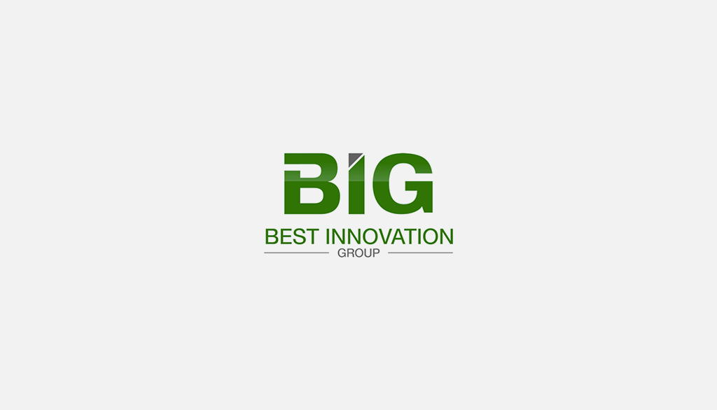 Best Innovation Group logo